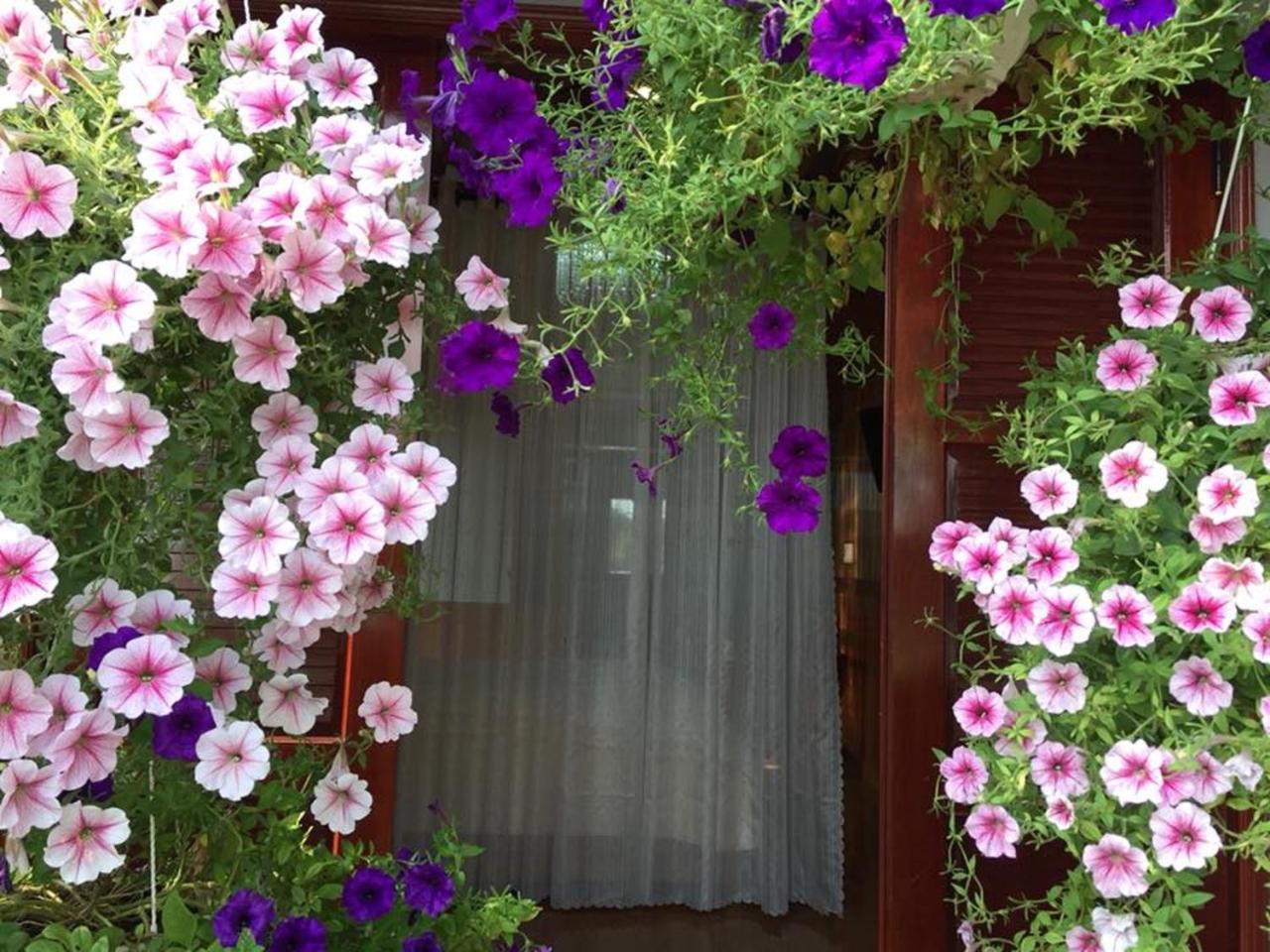 Khamy Riverside Villa ホイアン エクステリア 写真